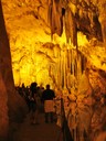 DSC09020.JPG