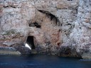 DSCN4231.JPG