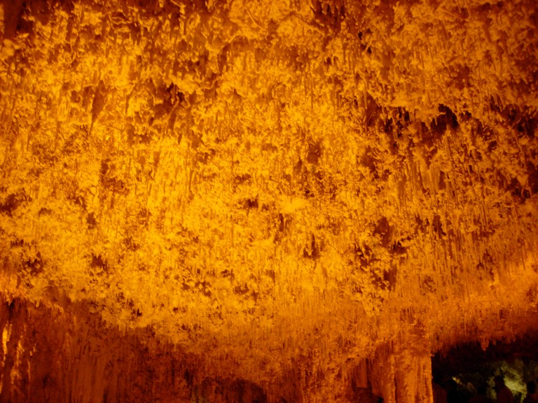 DSCN4241.JPG