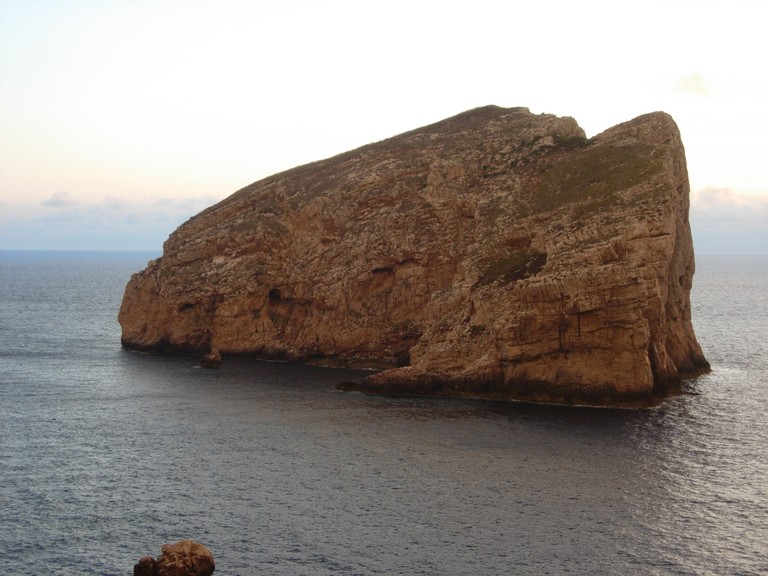 DSCN4261.JPG