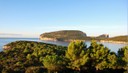 DSC_1346.JPG