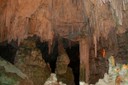 DSC_1436.JPG