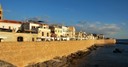 DSC_1467.JPG