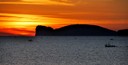 DSC_1480.JPG