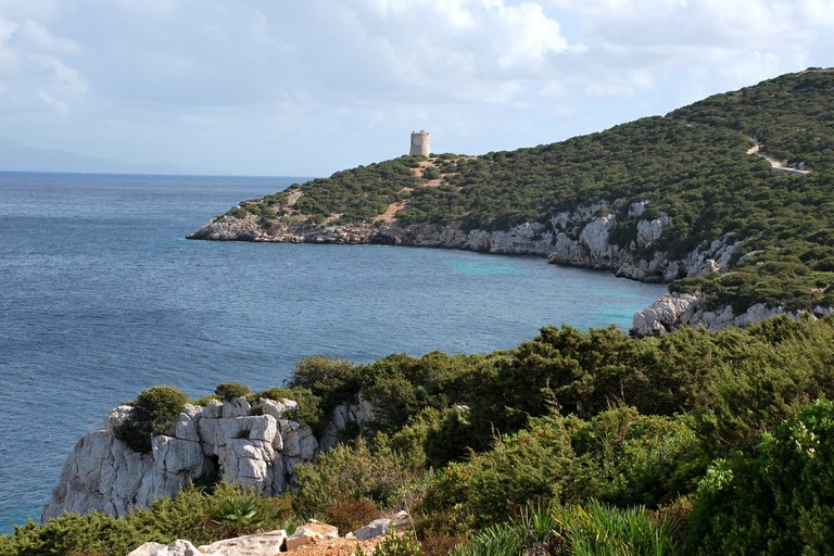 DSC_1487.JPG