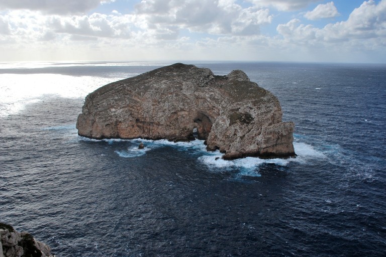 DSC_1548.JPG