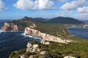 DSC_1572.JPG