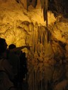 IMG_8716.jpg