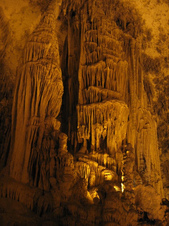 IMG_8717.jpg