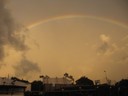 IMG_8778.jpg