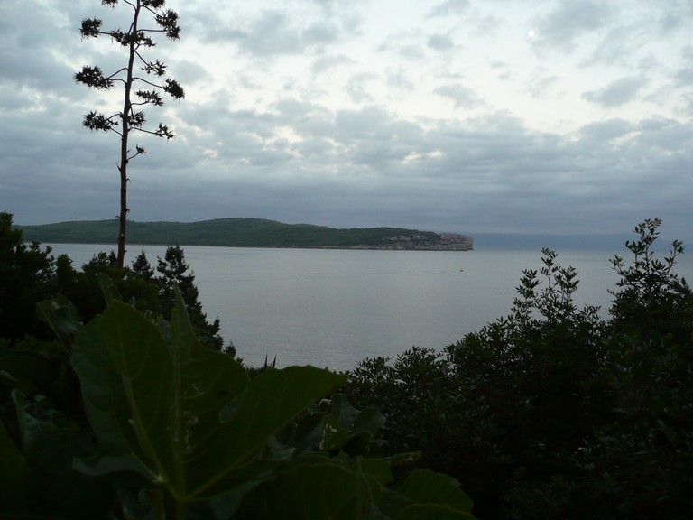 P1040858.JPG