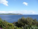 P1040923.JPG