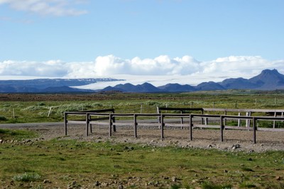 DSC09356