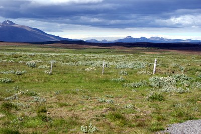 DSC09358