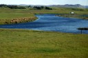 DSC09418