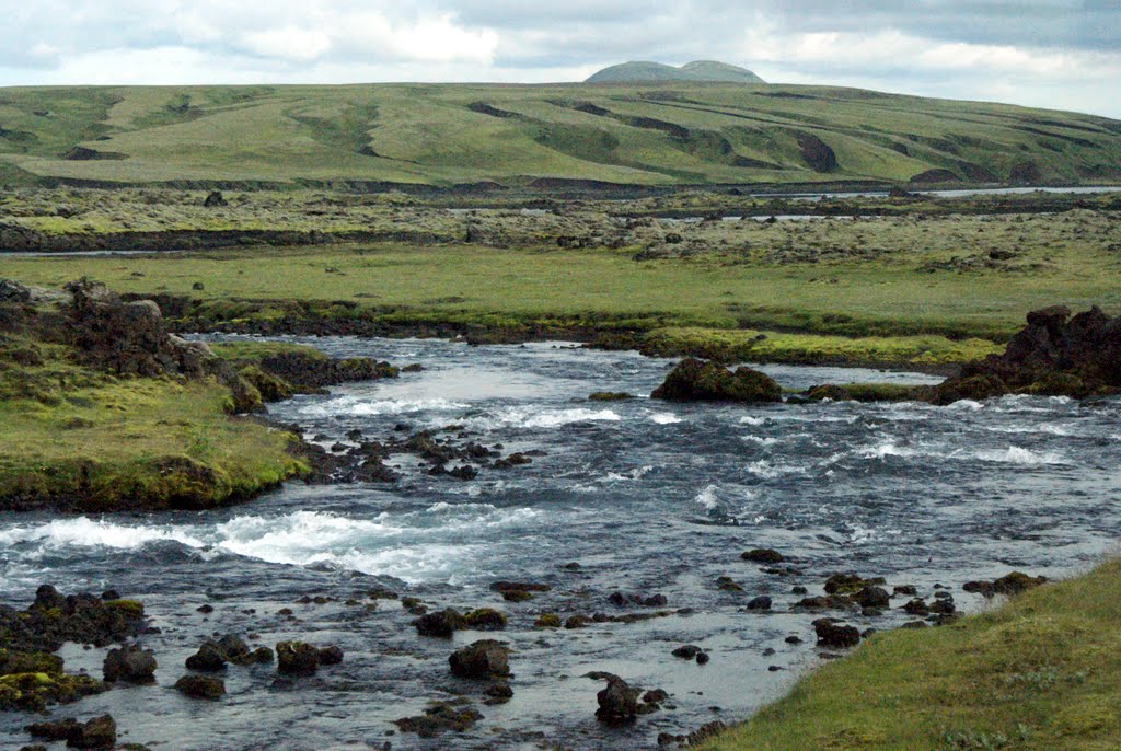 DSC09533