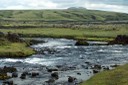 DSC09533