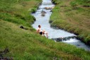 DSC09714