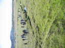 IMG 9794