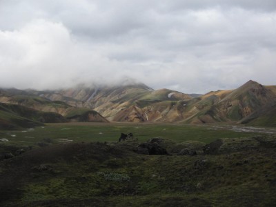 IMG 9842