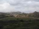 IMG 9842